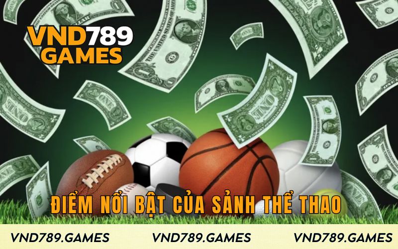 Điểm nổi bật của sảnh thể thao 
