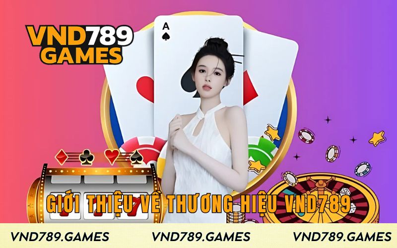 Giới thiệu về thương hiệu VND789