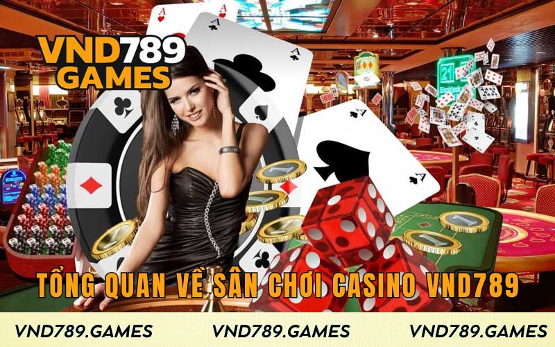 Tổng quan về sân chơi Casino VND789